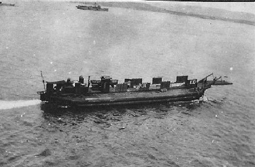 Suvla Bay beetle K10 (Stephen Nulty GWF)